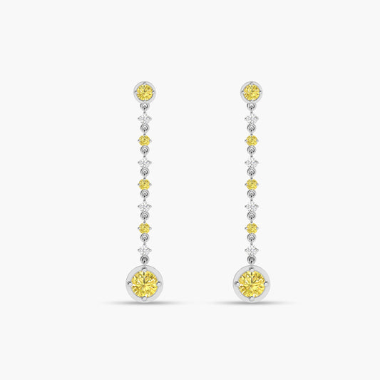 long silver earrings